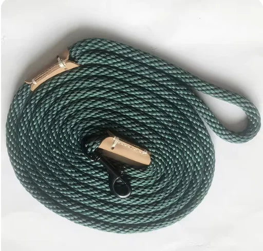 Green dog leash with brass clasp