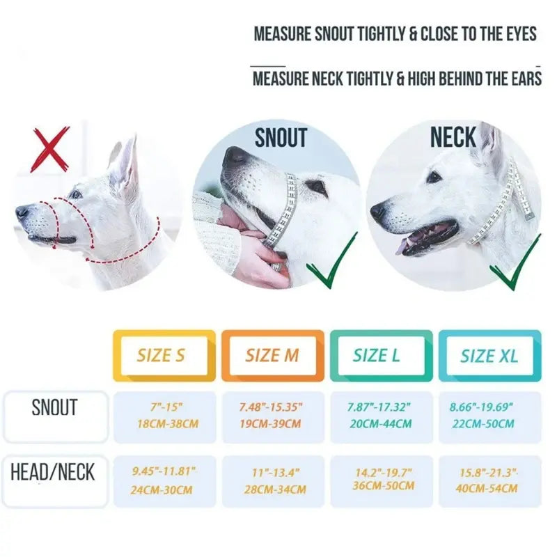 Training Collar for Dogs - Effectively Train Your Pet with Comfort and Control - WoofPurr