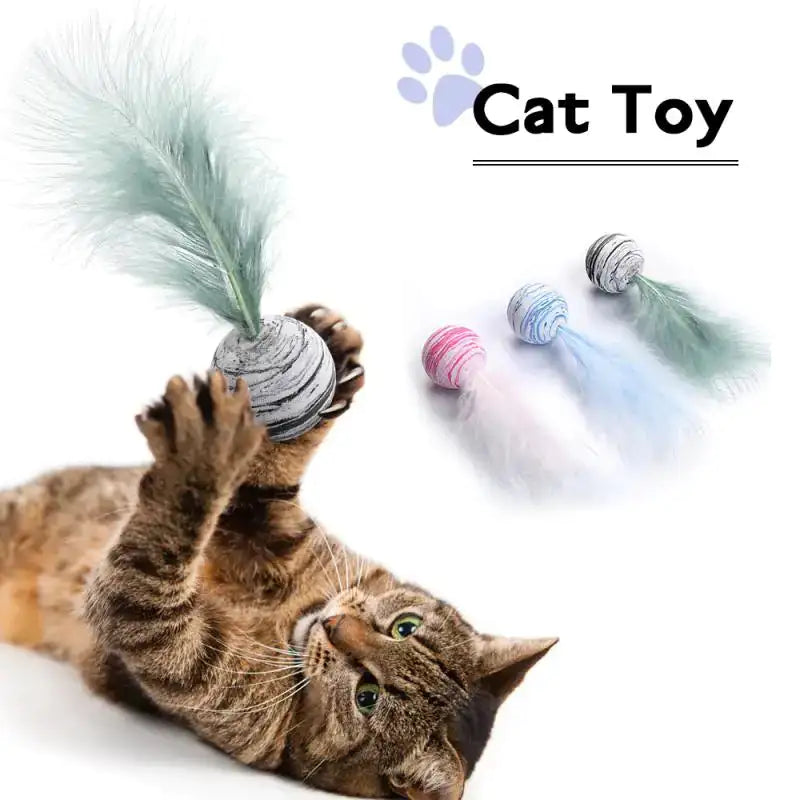 Cat playing with a feathered cat toy 