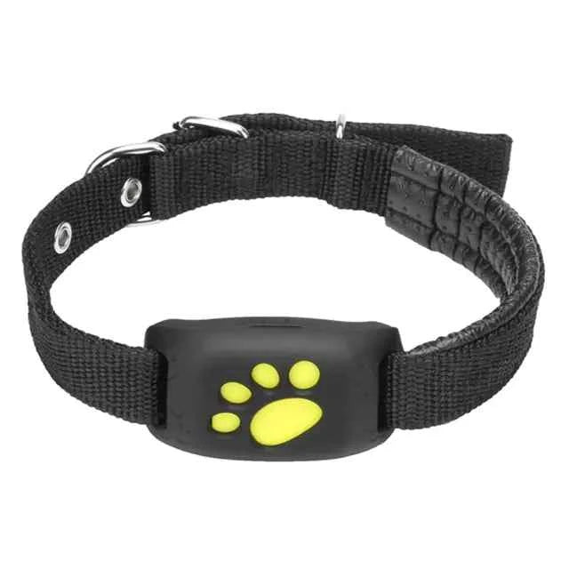 GPS Dog Tracker Collar - Real-Time GPS Dog Tracker Australia for Pets - WoofPurr