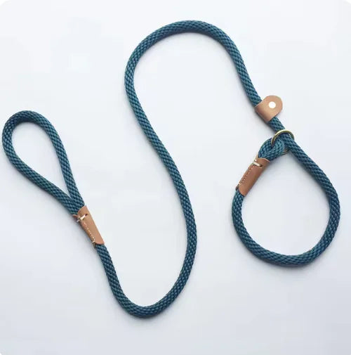 Blue dog leash with brass hardware for walking or training