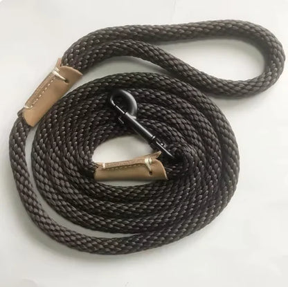 Coiled braided cable with gold connectors for dogs