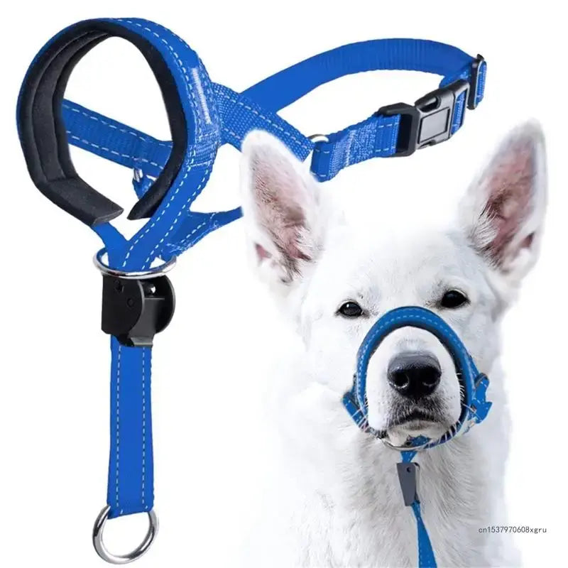 Training Collar for Dogs - Effectively Train Your Pet with Comfort and Control - WoofPurr