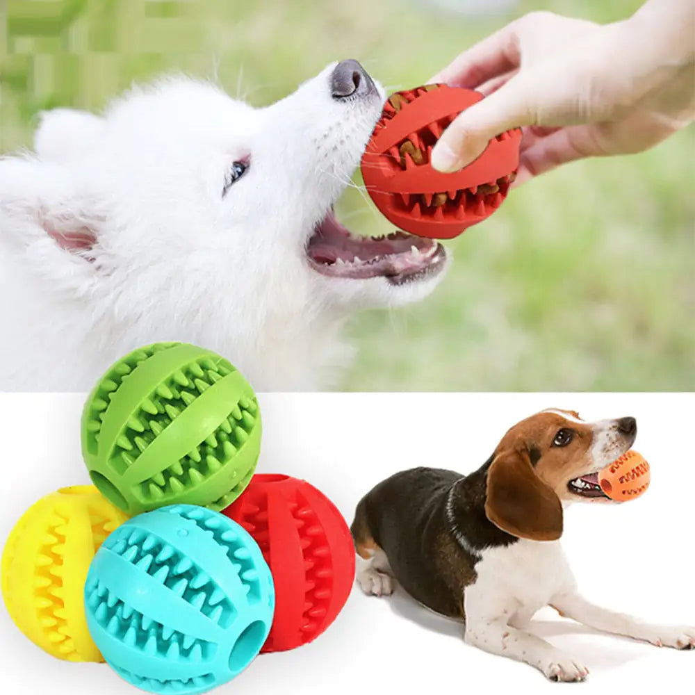 Dog playing with a red ball, another dog with a colorful ball, and a close-up of colorful rubber balls.