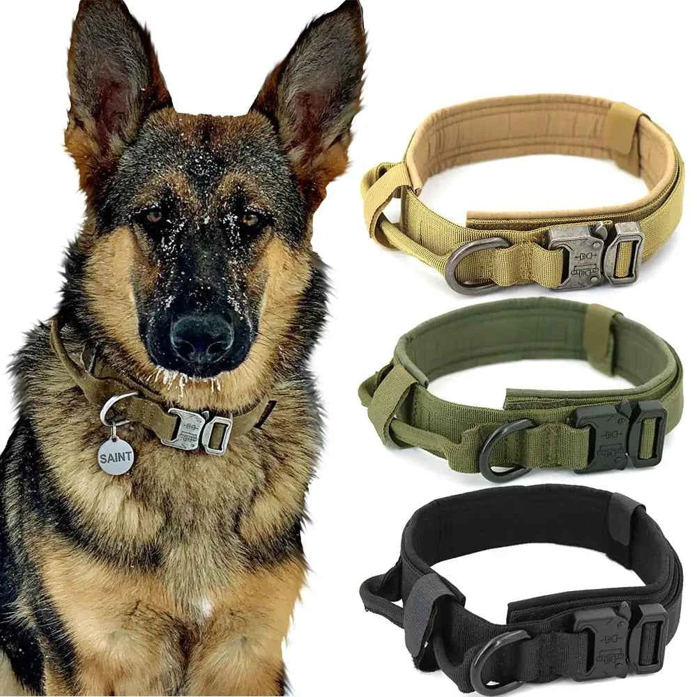 Adjustable Dog Collar - Durable Nylon Collar for All Breeds