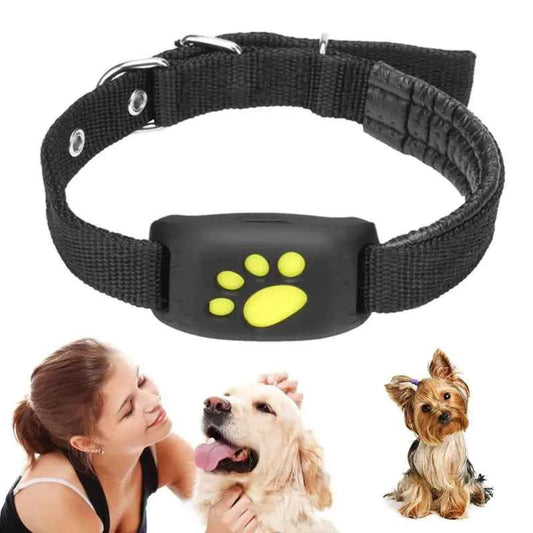 GPS Dog Tracker Collar - Real-Time GPS Dog Tracker Australia for Pets - WoofPurr