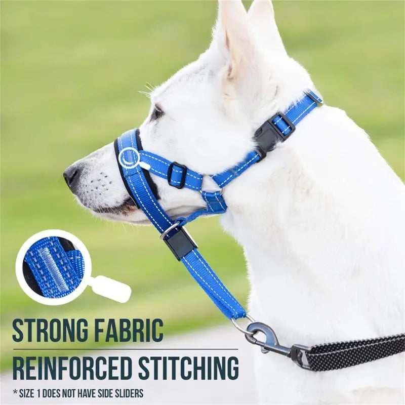 Training Collar for Dogs - Effectively Train Your Pet with Comfort and Control - WoofPurr
