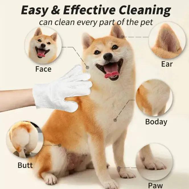 Pet Cleaning Supplies: Essential Gloves and Wipes for Easy Pet Care - WoofPurr