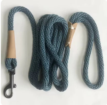 Blue dog leash with metal clip 