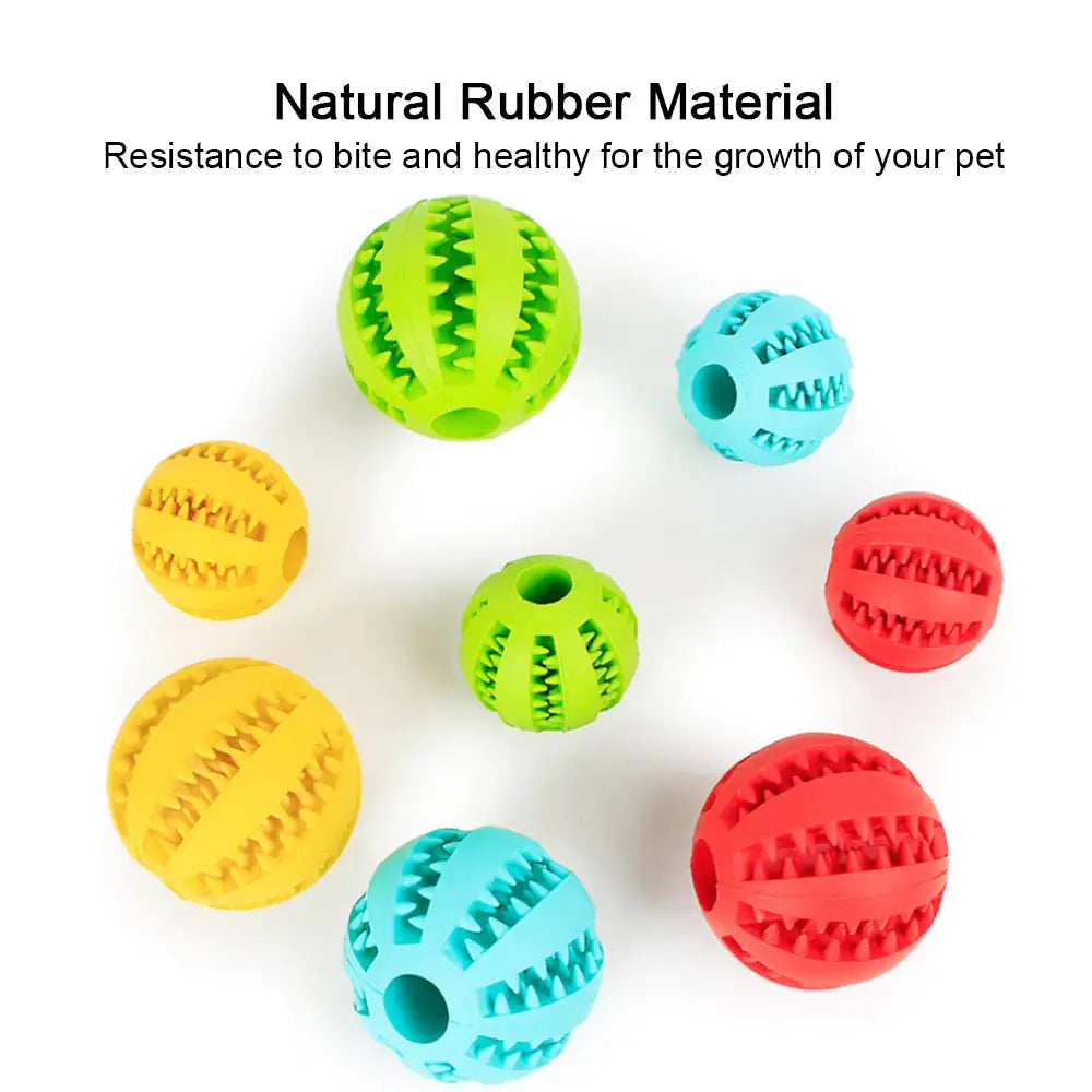 Interactive Toy Balls for Engaging Fun and Learning - WoofPurr